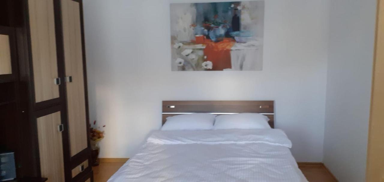 Urban Chic Apartment Orăştie 외부 사진
